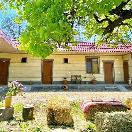 Aghasu Tun B&B Odzun Kültér fotó